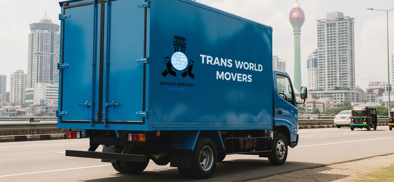 Domestic Moving Large.jpg